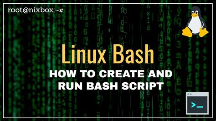 How to execute a bash script?