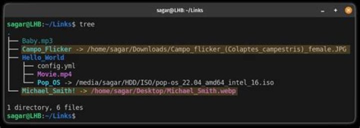 How to find all symbolic links to a given file/directory?