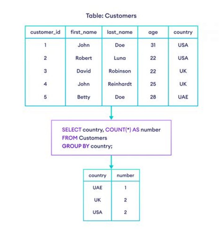 How to get average number of transactions within groupby groups?