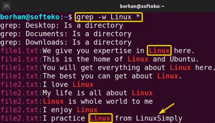 How to grep files in date order