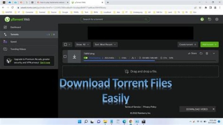 How to know if someone is downloading torrents in my wifi network