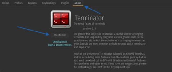 How to make Terminator terminal emulator transparent in dwm?