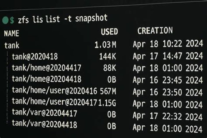 How to rollback a specific directory in ZFS snapshot?