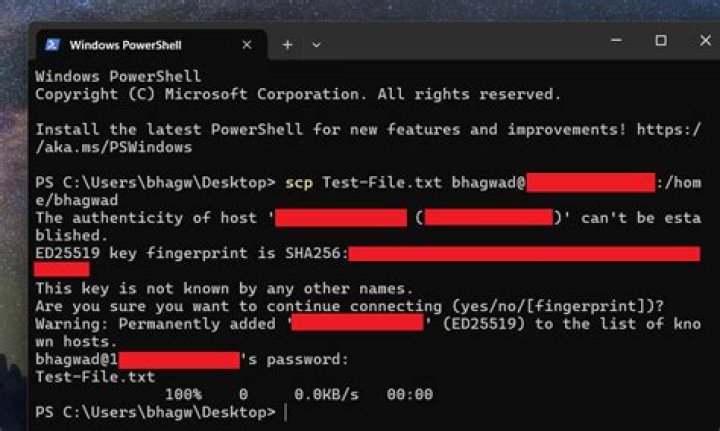 How to scp from Windows 7 with private key without password?