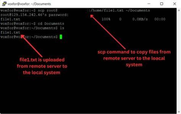 How to scp into a remote server with only root user and no password