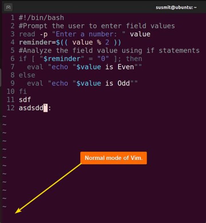 How to search for selected text in Vim?