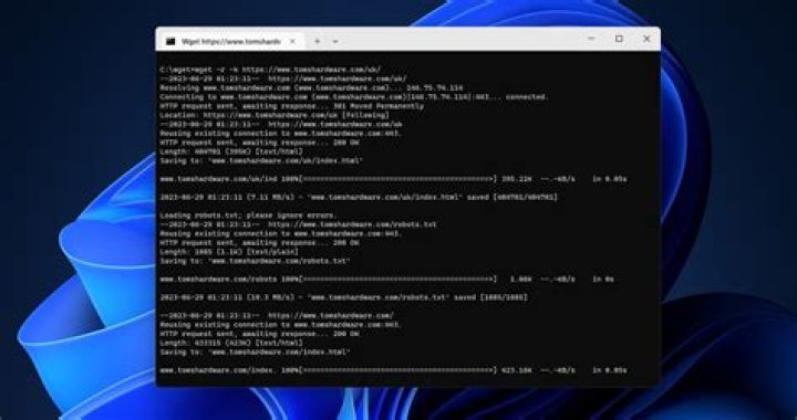 How to specify the download location with wget?