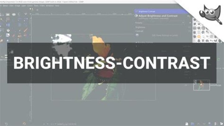 How to Start Gimp .png with Brightness/Contrast controllers?