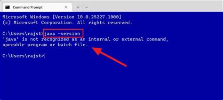 How to uninstall Java SE from the command line
