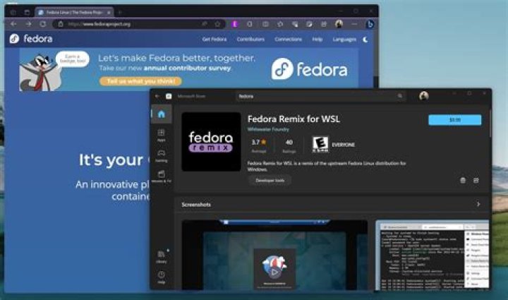 How to use Fedora in WSL