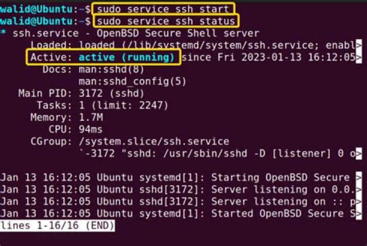 How to use unzip in linux terminal SSH?