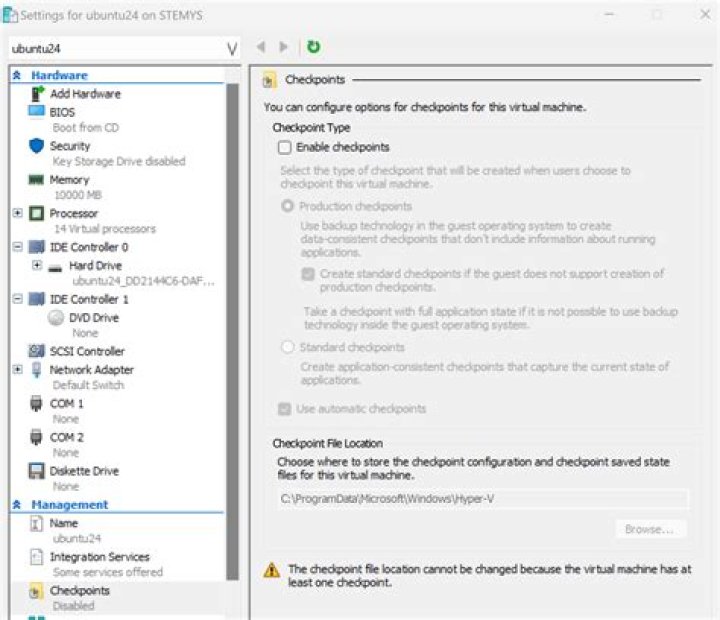 Hyper-V VM extremely slow - 100% disk usage always