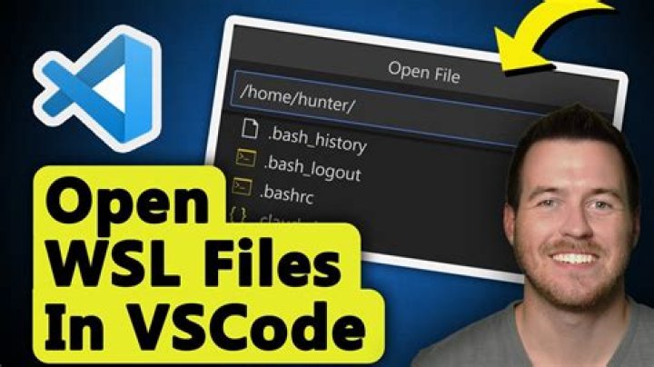 I'm having trouble with the shell in Visual Code Studio in WSL