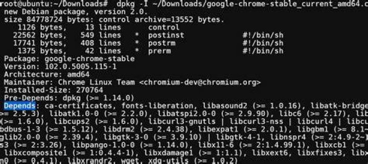 I just noticed that the repo http://dl.google.com/linux/chrome/deb/