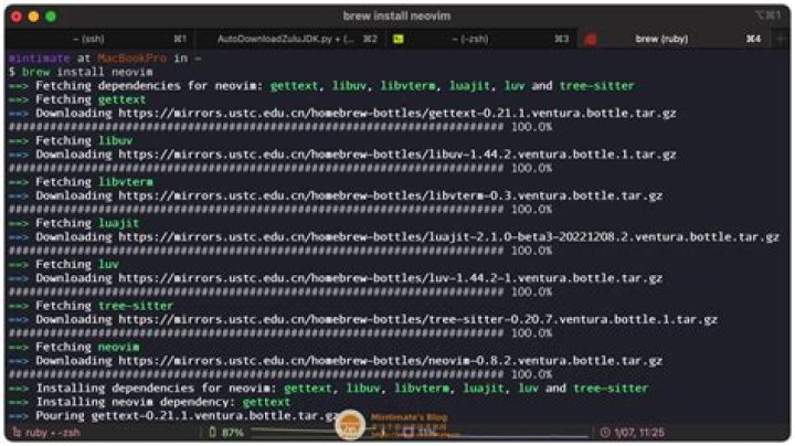 I really need help installing vundle for neovim