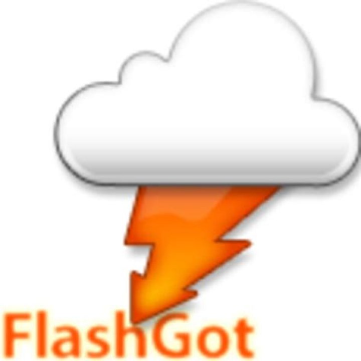 icon FlashGot Media