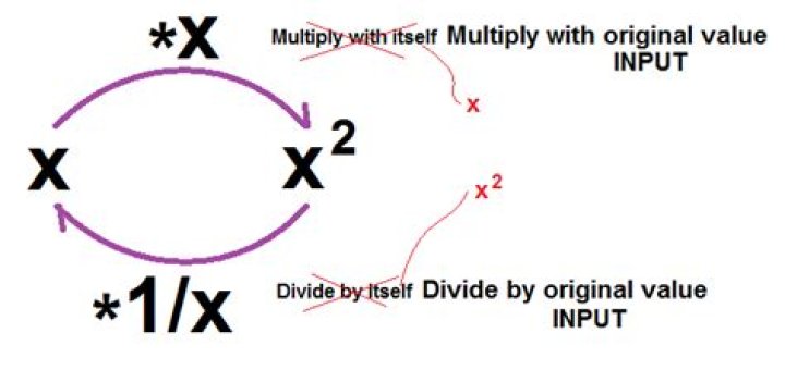 If squaring a number means multiplying that number with itself then shouldn't taking square root of a number mean to divide a number by itself?