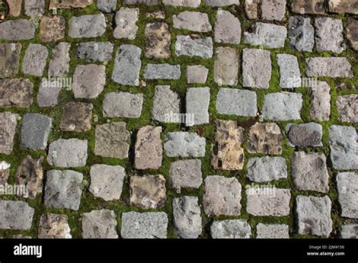 Image of a mossy cobblestone block