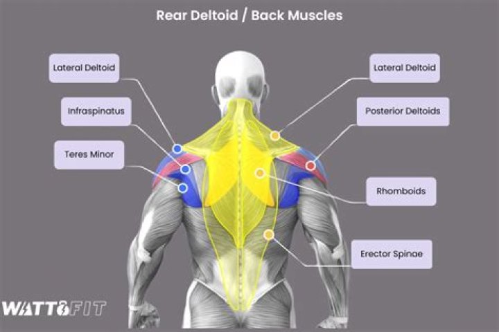 Image of the rear of an IcyBoxIB-544SSK