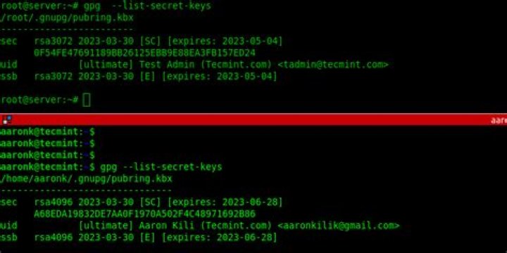 Importing GPG key in ubuntu:bionic Docker container