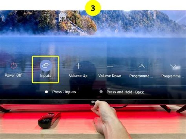 Input Settings button
