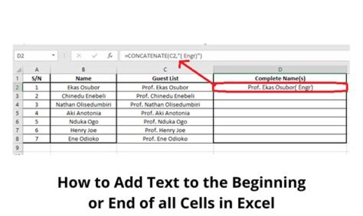 Insert text to the beginning of every Cell in a Column