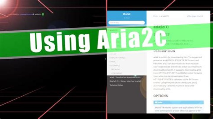 install aria2c
