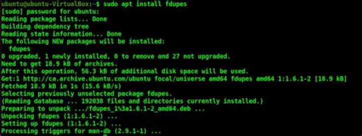 Install fdupes