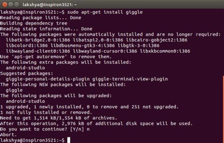 Install giggle