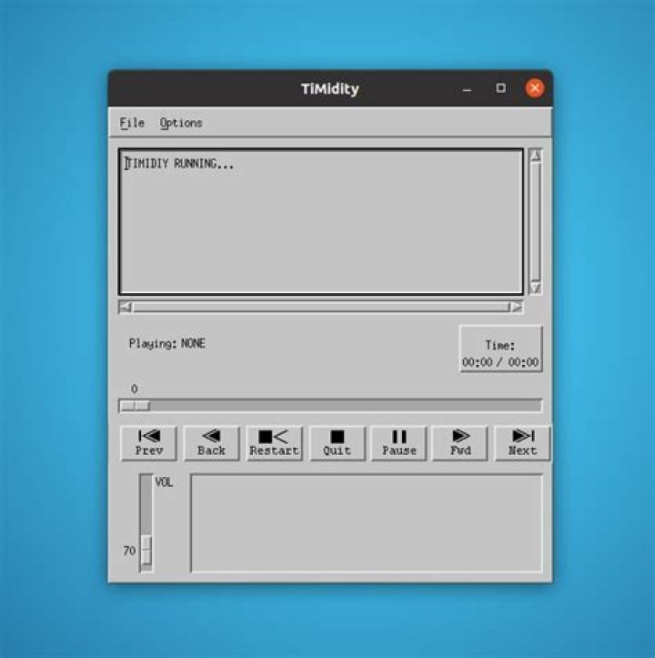 Install timidity