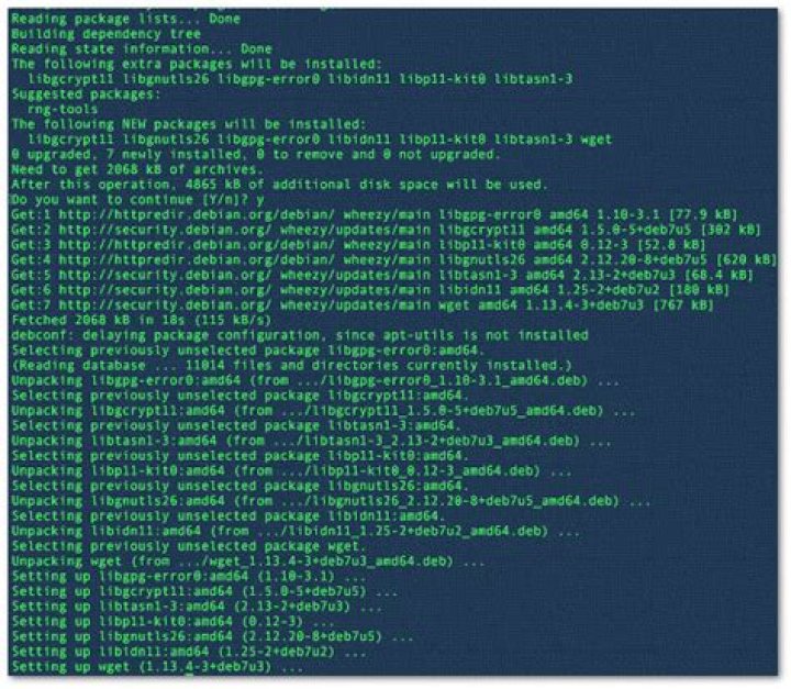 Installing wget in Debian 10