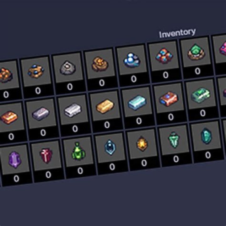 Inventory Slots