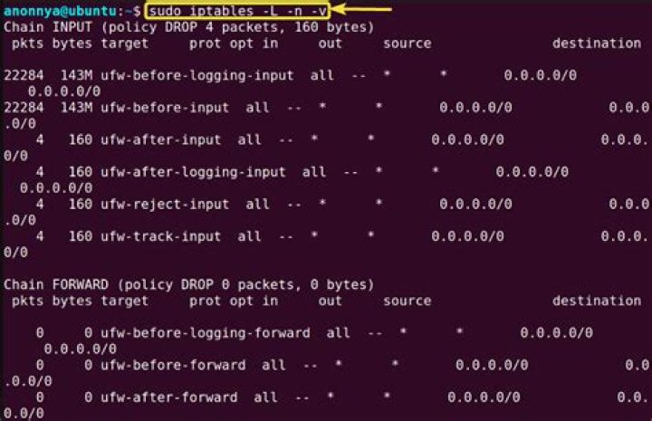 Iptables: How do I block all outgoing traffic on a network interface except for a single port