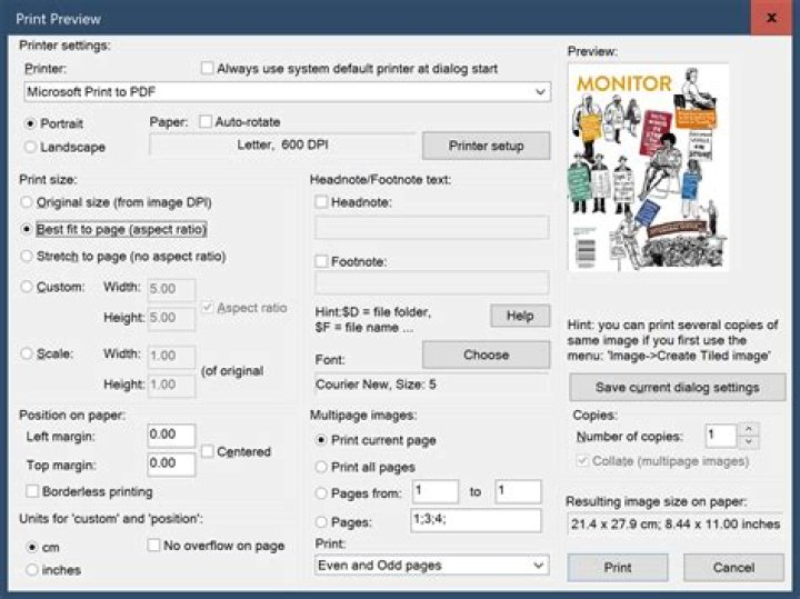 Irfanview Print dialog