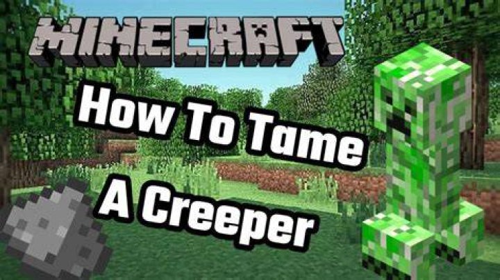 Is it possible for me to tame a creeper on minecraft PE?
