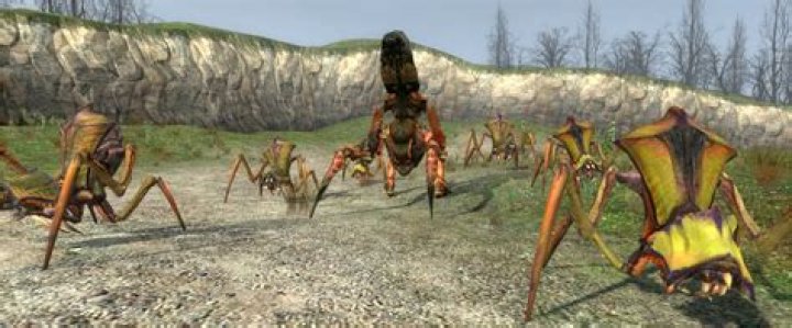 Is it possible to dismiss antlions in Half-Life 2?