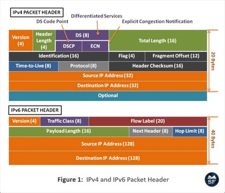 Is it possible to host my website with just an IPv6 without an IPv4?