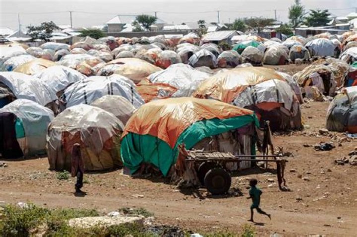 Is it possible to save the wounded Batarian in the refugee camp?