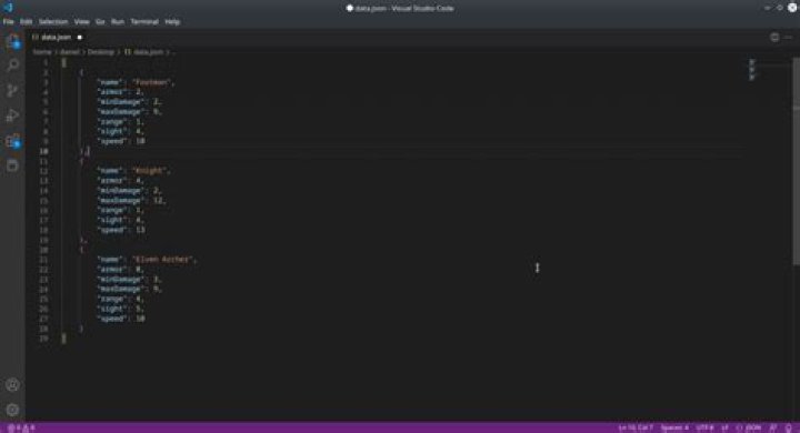 JSON File not Opening in VS Code