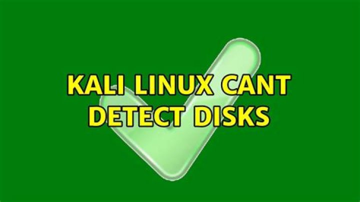 Kali Linux cant detect disks