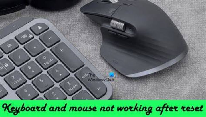 Keyboard and mouse not working after dual boot OS switch