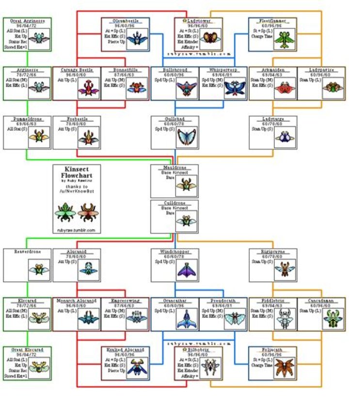 Kinsect upgrade flowchart