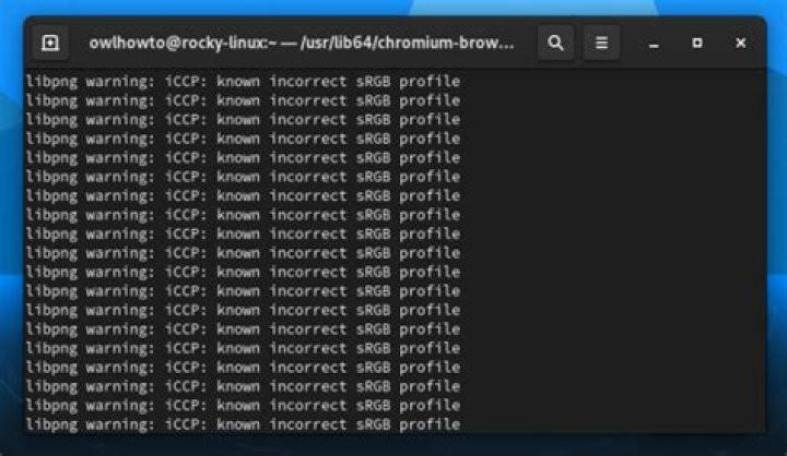 Launching Chromium via Terminal, waiting some times, and close it
