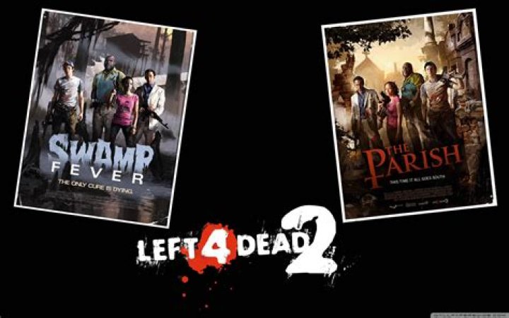 Left 4 Dead 2 Official Dedicated Bugging Going Black Screen
