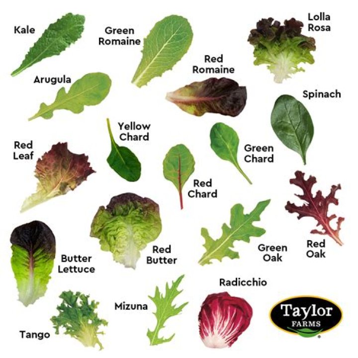 lettuce leaves (from fudsubs.com)