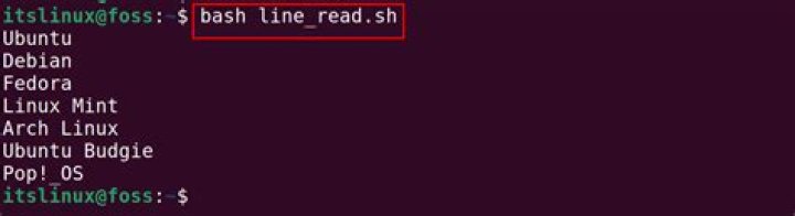 linux - bash - read: Illegal option -n