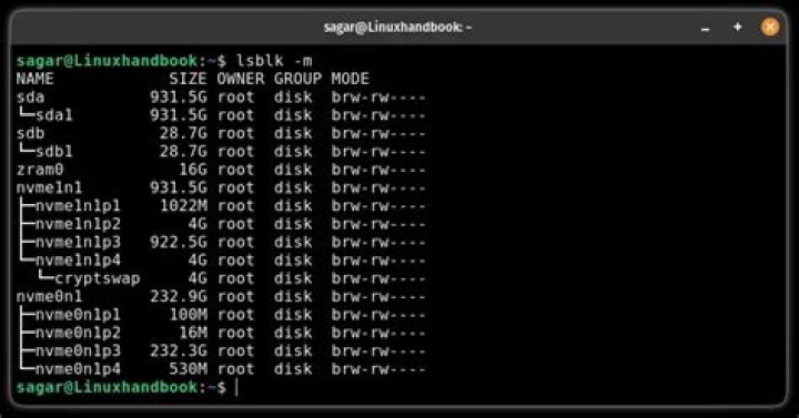 Linux lsblk output