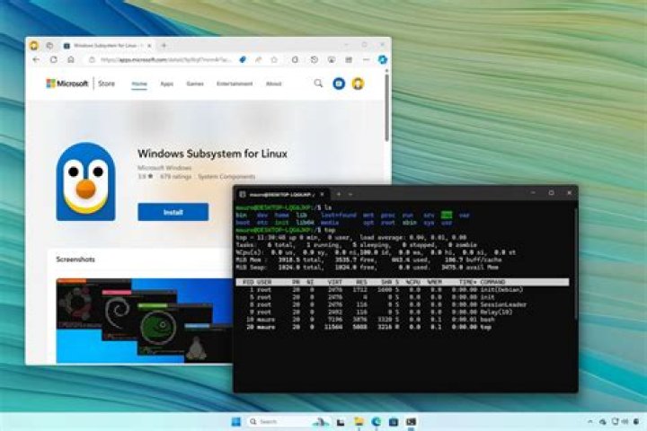 .local/bin' which is not on PATH. Linux subsystem for Windows