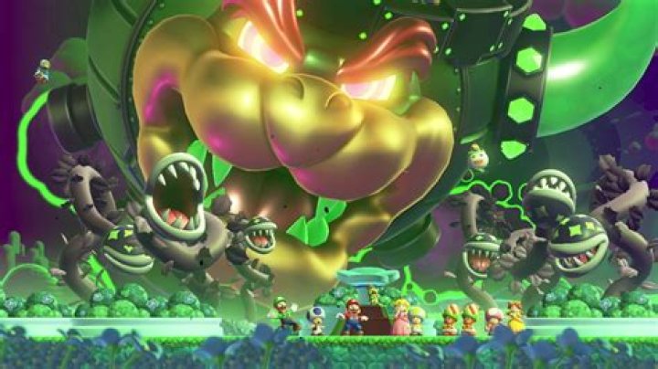 Looking for cannons in NSMB Wii [duplicate]
