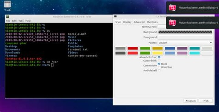 Lubuntu terminal background tranparency